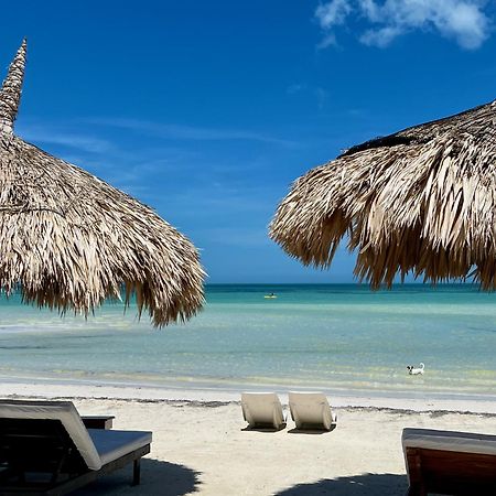 Isla Holbox 太阳棕榈屋旅馆酒店 外观 照片