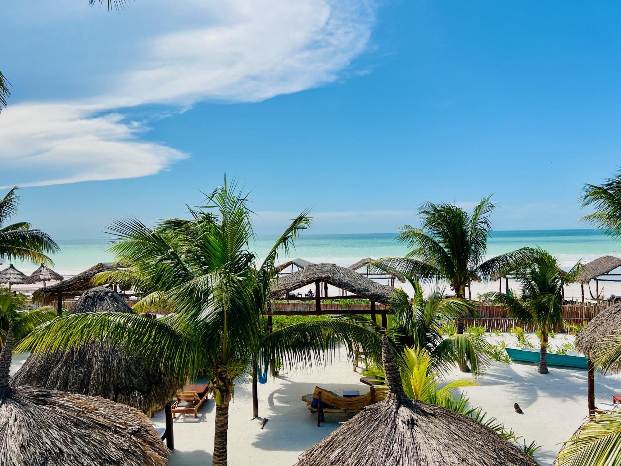 Isla Holbox 太阳棕榈屋旅馆酒店 外观 照片