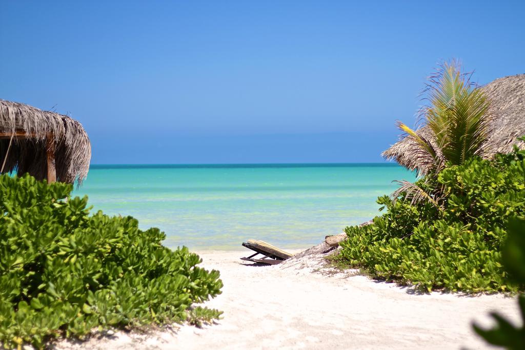 Isla Holbox 太阳棕榈屋旅馆酒店 外观 照片