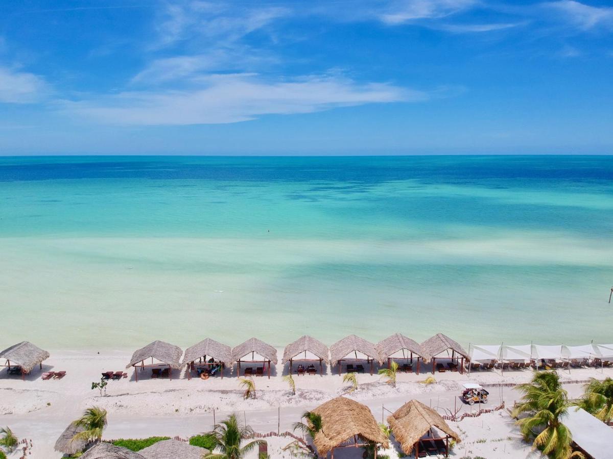 Isla Holbox 太阳棕榈屋旅馆酒店 外观 照片