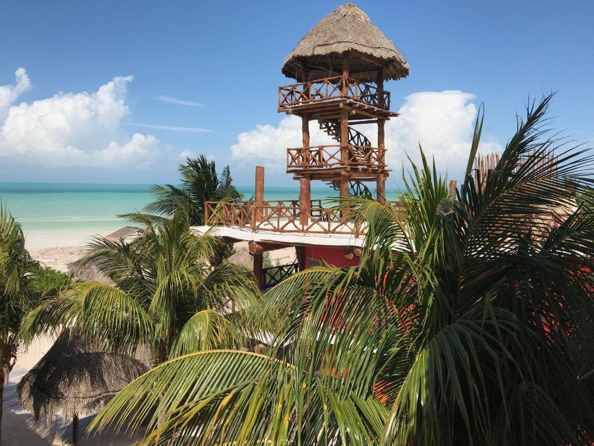 Isla Holbox 太阳棕榈屋旅馆酒店 外观 照片