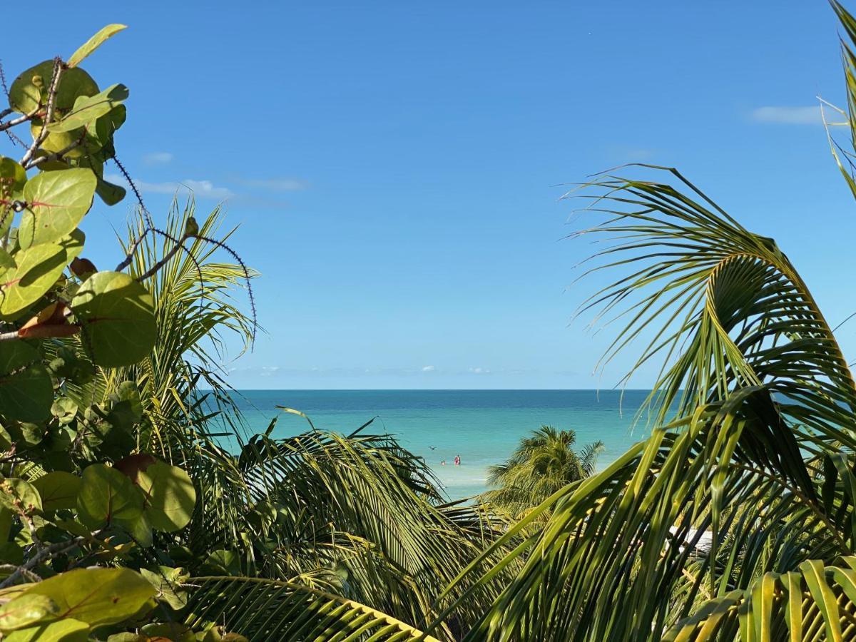 Isla Holbox 太阳棕榈屋旅馆酒店 外观 照片